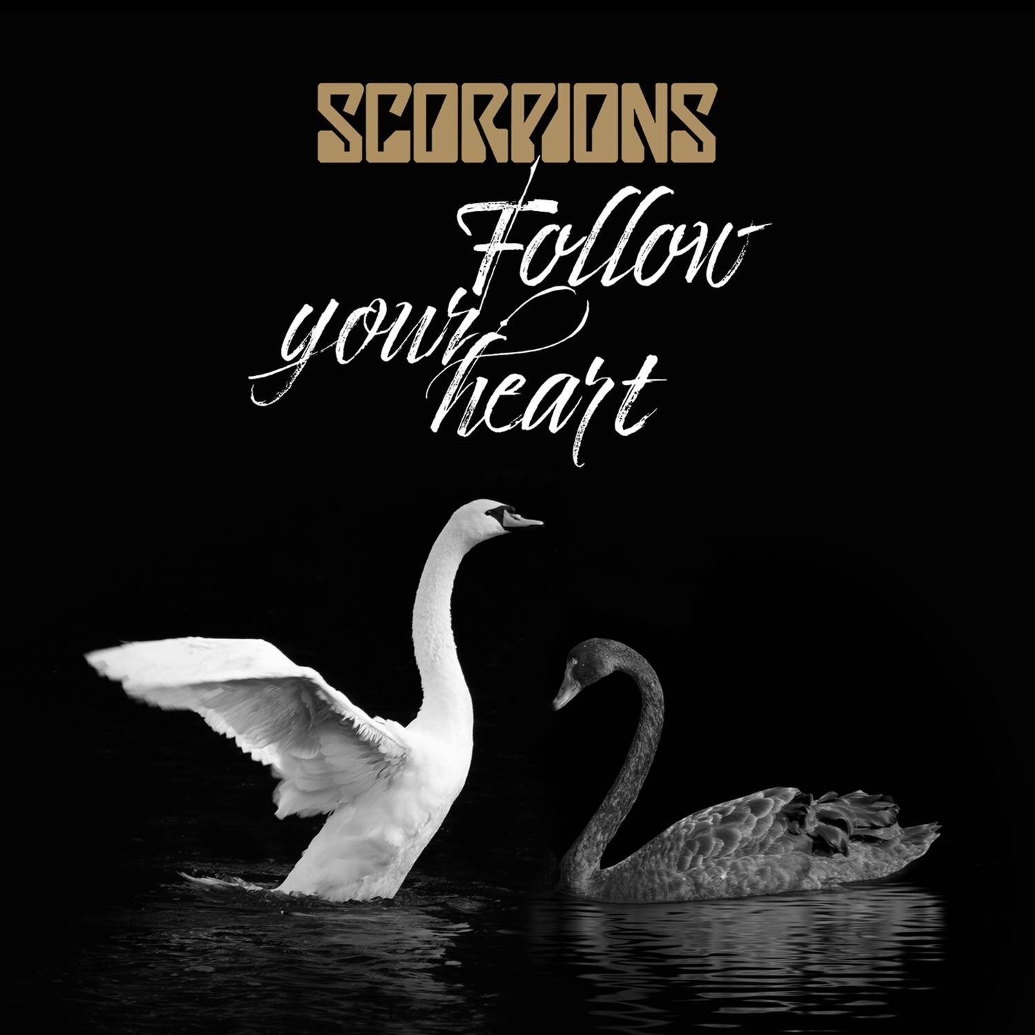 Scorpions《Follow Your Heart -Version 2017》乐队总谱|GTP谱