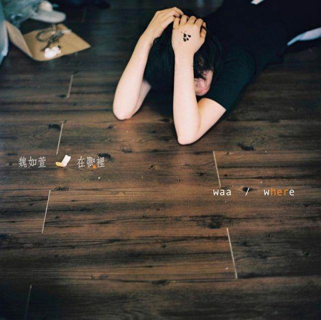 魏如萱《香格里拉》吉他谱|弹唱GTP谱