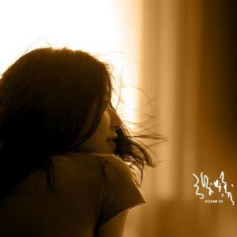 张悬《原谅-张悬版》吉他谱|弹唱GTP谱