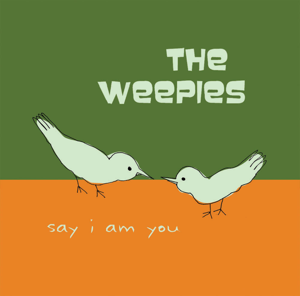The Weepies《Gotta have you》吉他谱|弹唱GTP谱