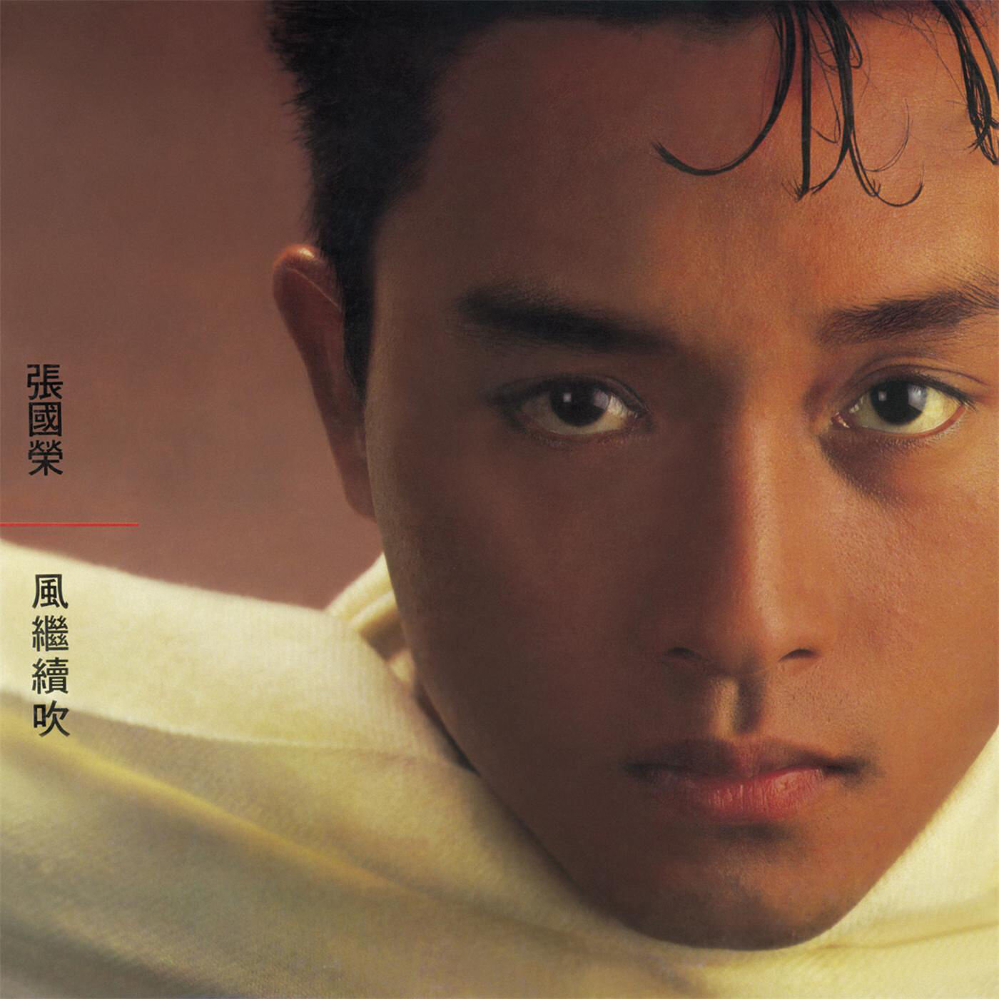 张国荣《风继续吹-bossa版》吉他谱|弹唱GTP谱