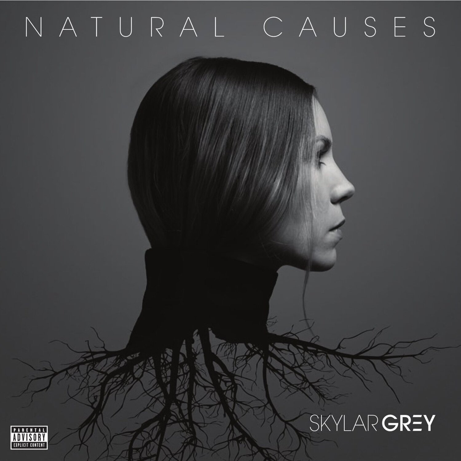 Skylar Grey《Moving Mountains》吉他谱|弹唱GTP谱
