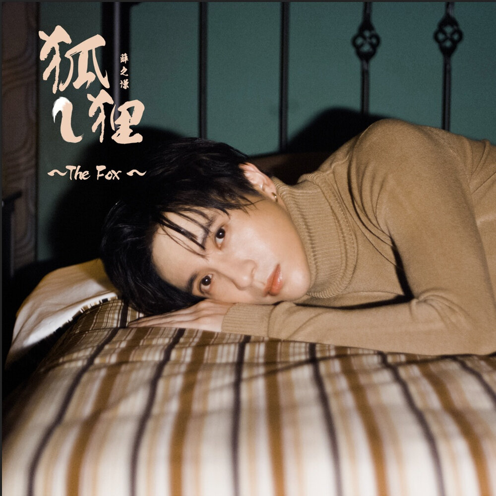 薛之谦《狐狸-薛之谦》吉他谱|弹唱GTP谱