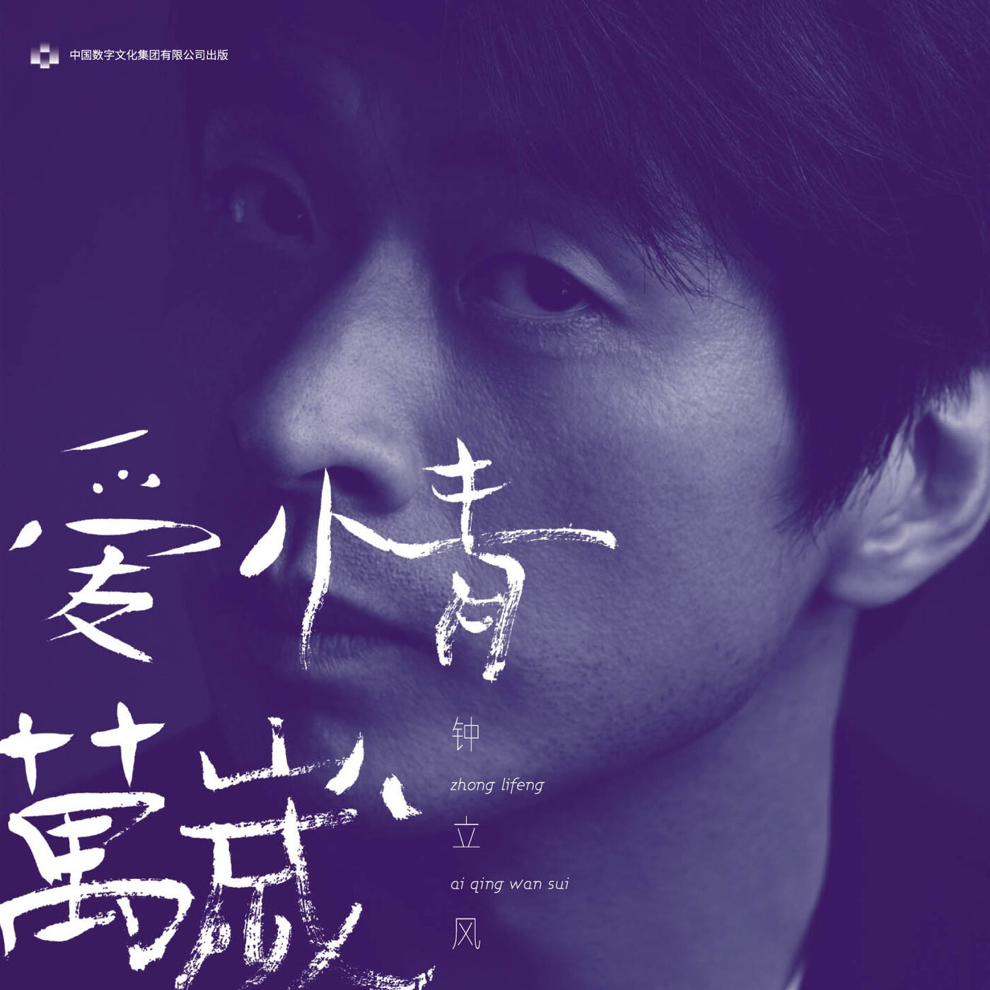 钟立风《黑鸟你在哪里寻找手艺纪录片片头曲-简单弹唱版》吉他谱|弹唱GTP谱