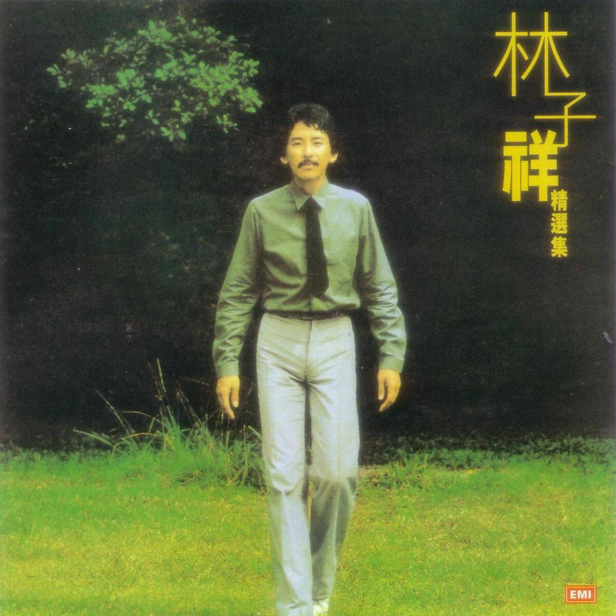 林子祥《我要走天涯》指弹谱|独奏GTP谱