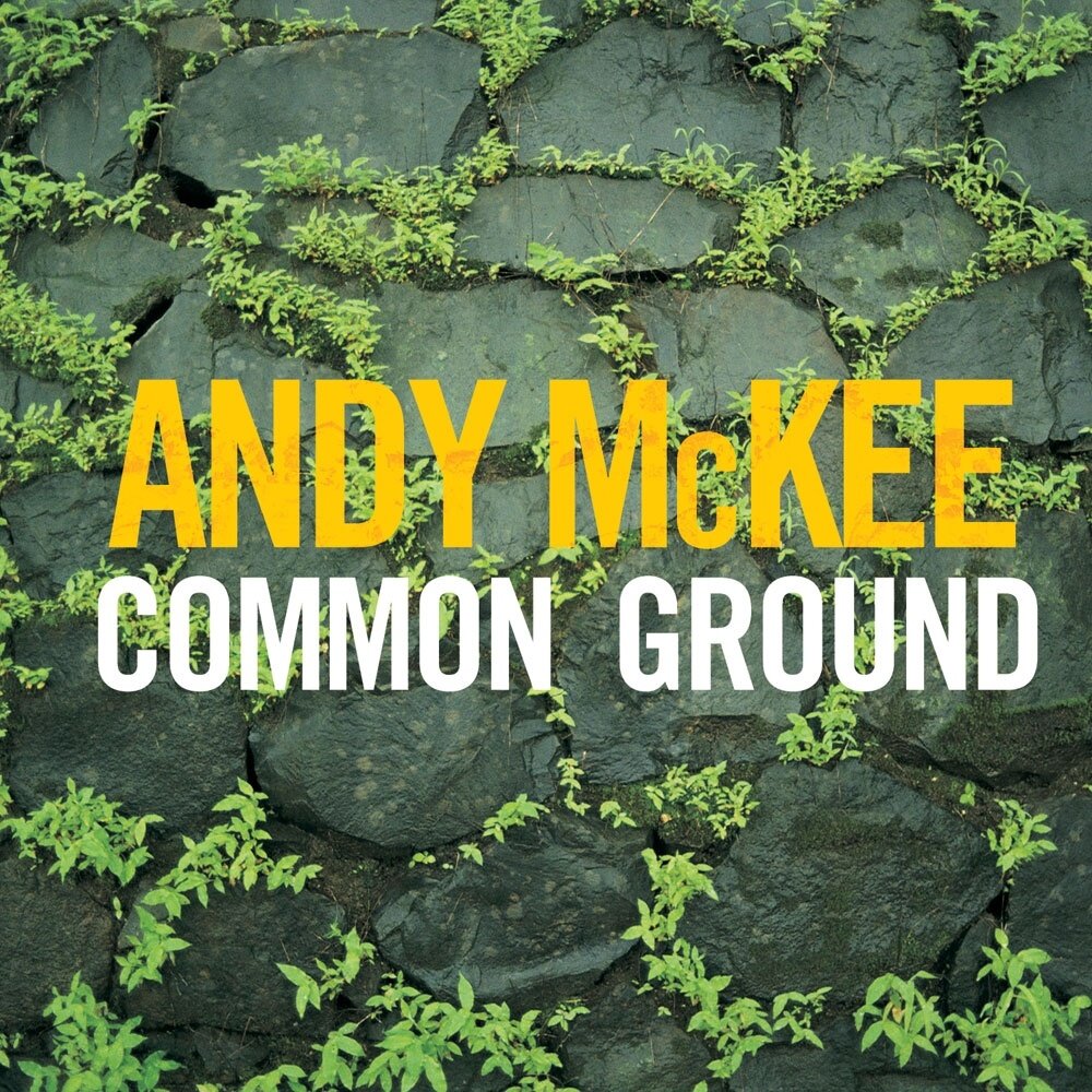 Andy McKee《Rylynn》指弹谱|独奏GTP谱