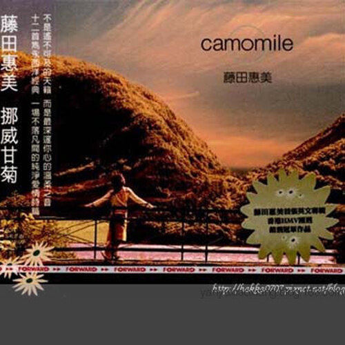 藤田恵美《Down by the Salley Garden》指弹谱|独奏GTP谱