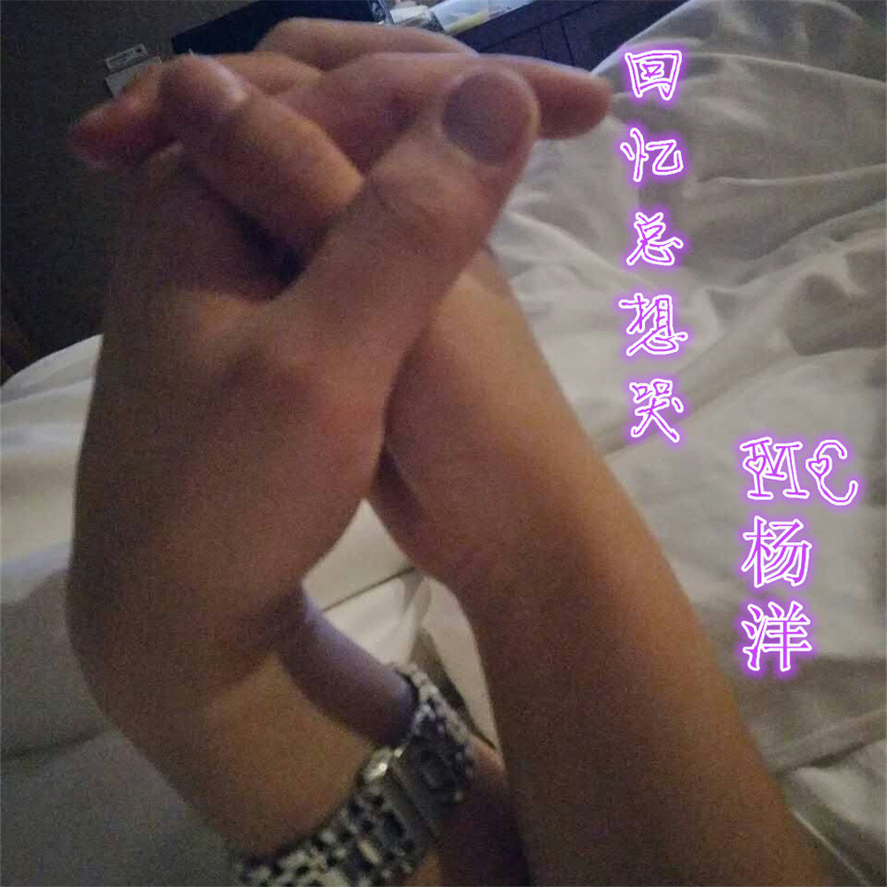 杨泽《回忆》指弹谱|独奏GTP谱