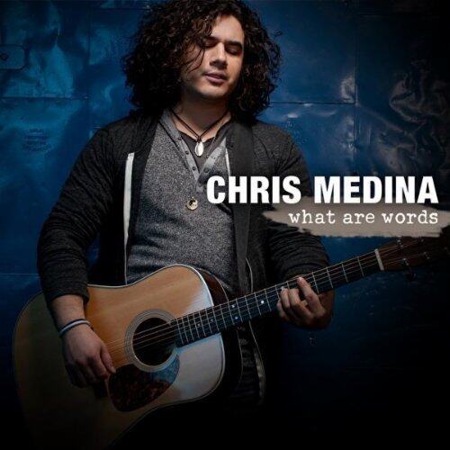 Chris Medina《What are words》指弹谱|独奏GTP谱