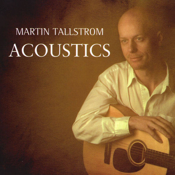 Martin Tallstrom《Lost in the Rain》指弹谱|独奏GTP谱