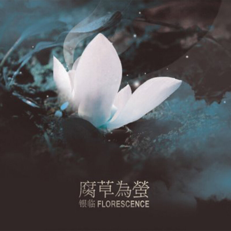 银临《浮生辞》指弹谱|独奏GTP谱