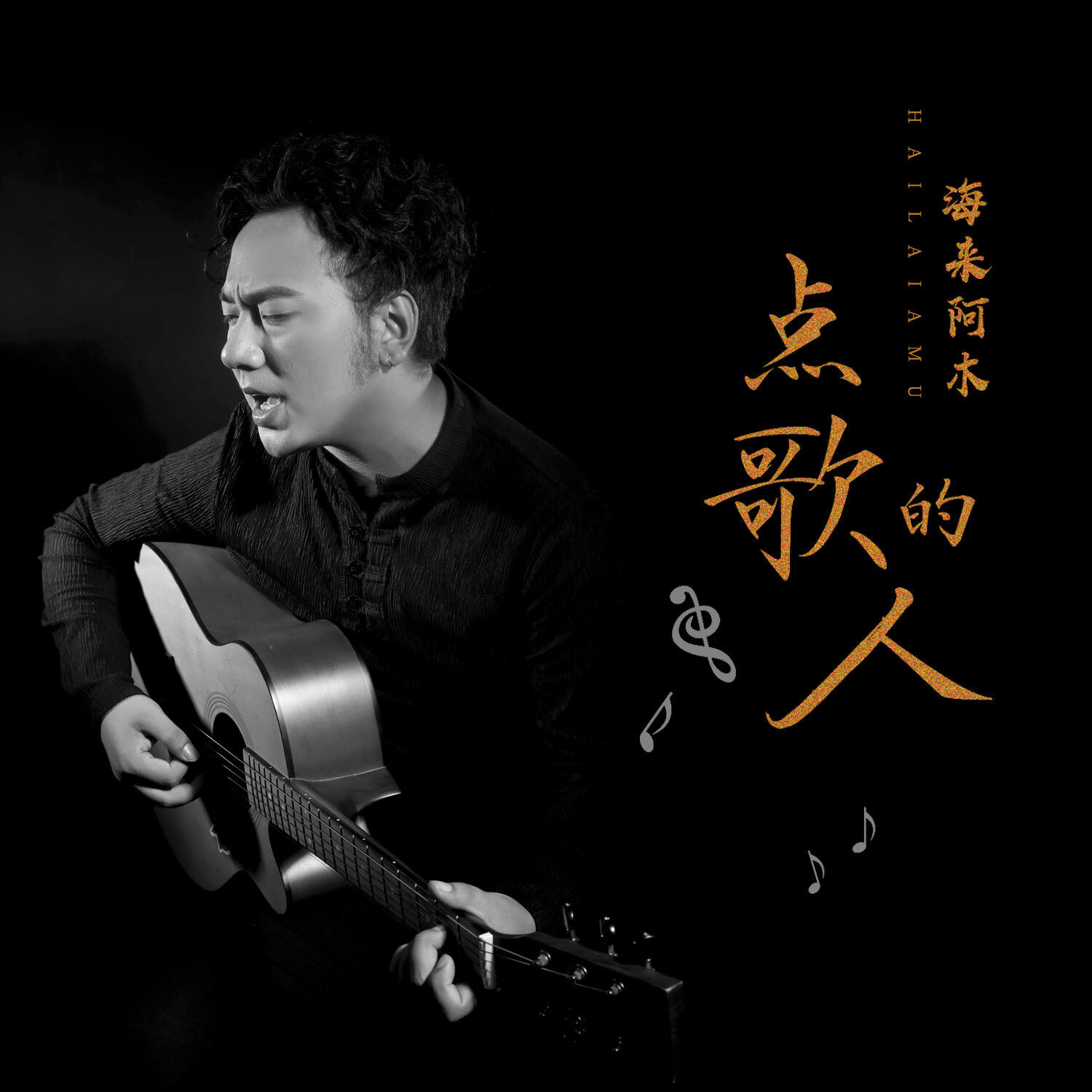 海来阿木《点歌的人》指弹谱|独奏GTP谱