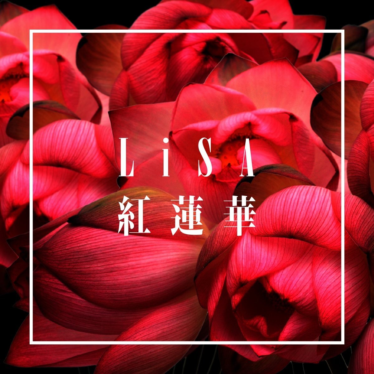 织部里沙（LiSa）《鬼灭之刃- 红莲华-郑成河版》指弹谱|独奏GTP谱