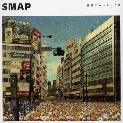 SMAP《世界に一つだけの花》指弹谱|独奏GTP谱