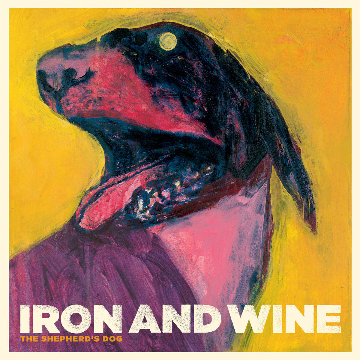 Iron & Wine《Flightless Bird American Mouth》GTP吉他谱|GTP谱