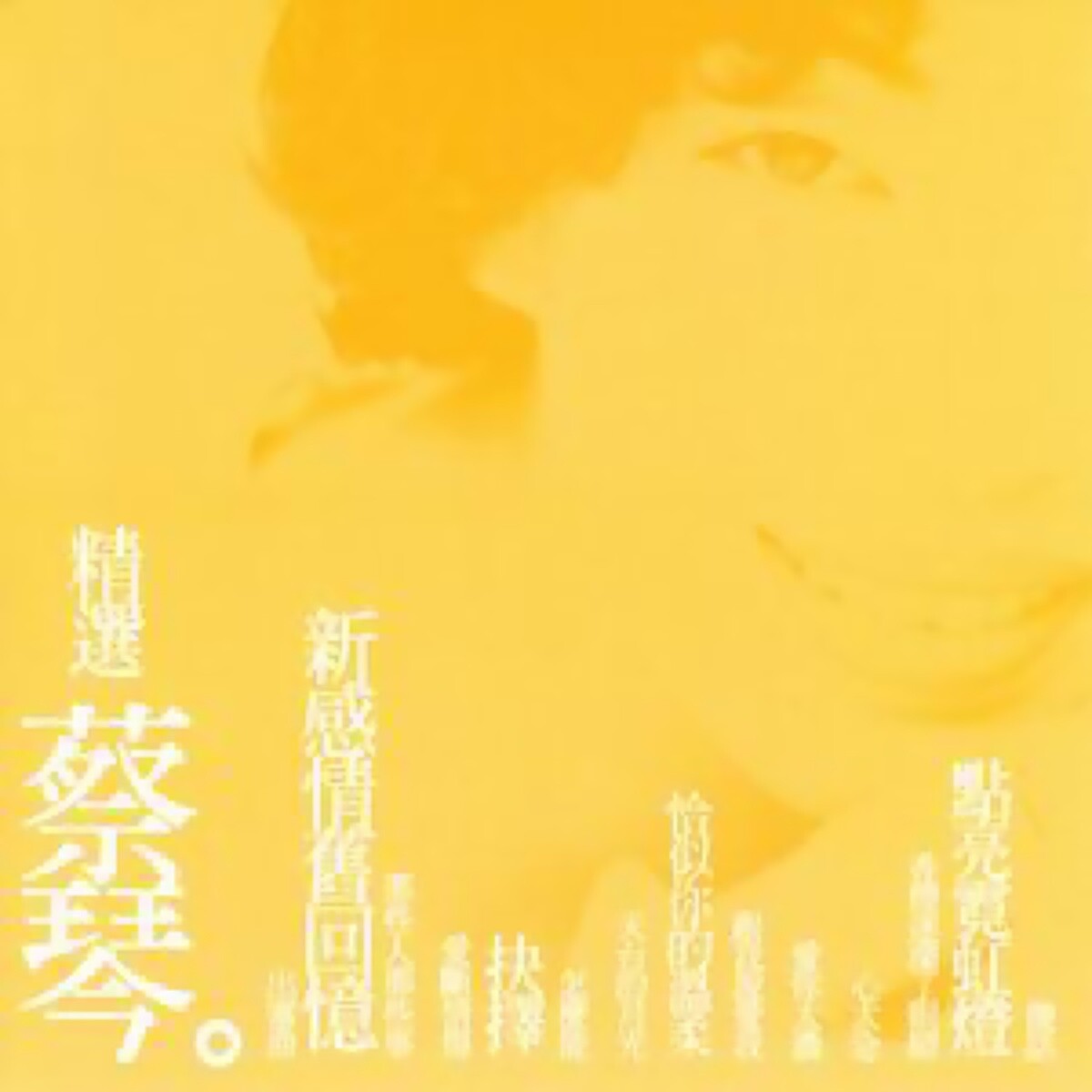 蔡琴《恰似你的温柔》GTP谱