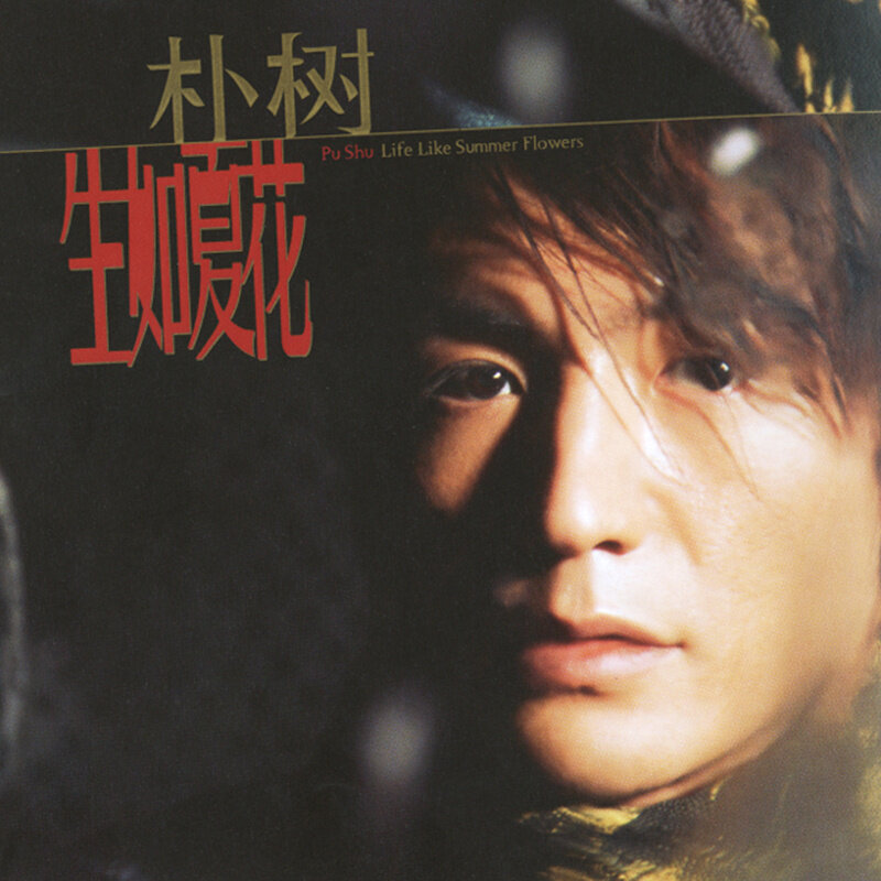 朴树《她在睡梦中》GTP谱