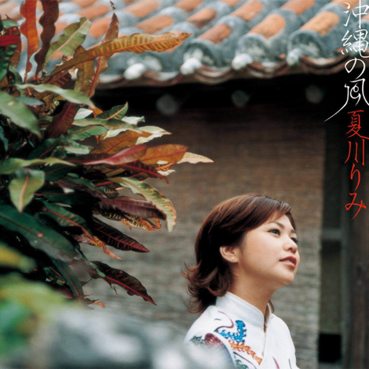 夏川りみ《涙そうそう-泪光闪闪》GTP谱