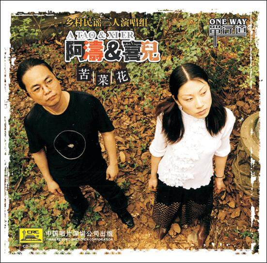 阿涛&喜儿《别人的新娘》GTP谱