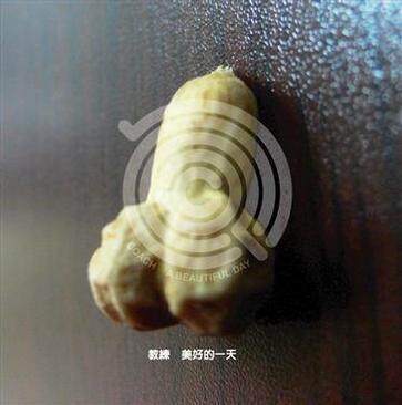 教练《芭蕾女孩》GTP谱