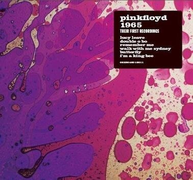 Pink Floyd《Lucy Leave》GTP谱