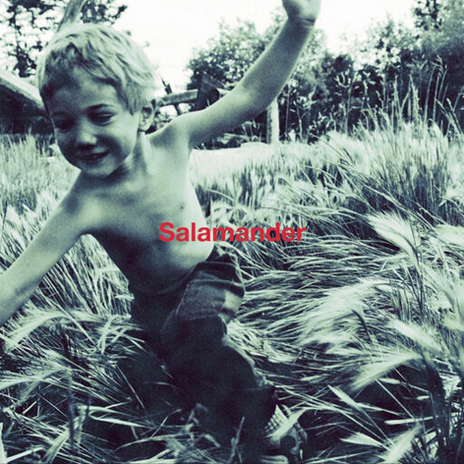 Ellegarden《Salamander》GTP谱