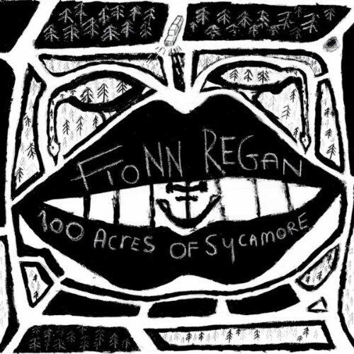 Fionn Regan《1st Day Of May》GTP谱