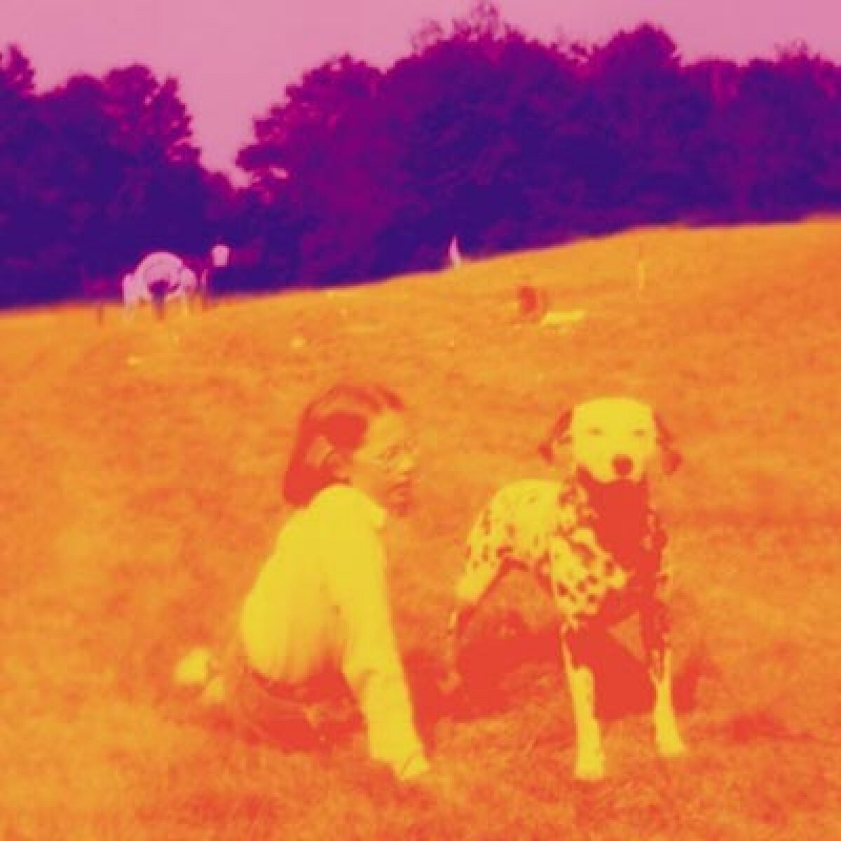 Eels《Whatever Happened To Soy Bomb》GTP谱