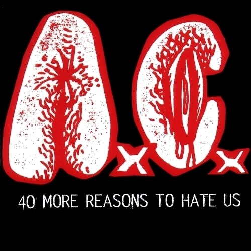 A.C.《I Just Saw The Gayest Guy On Earth》GTP谱