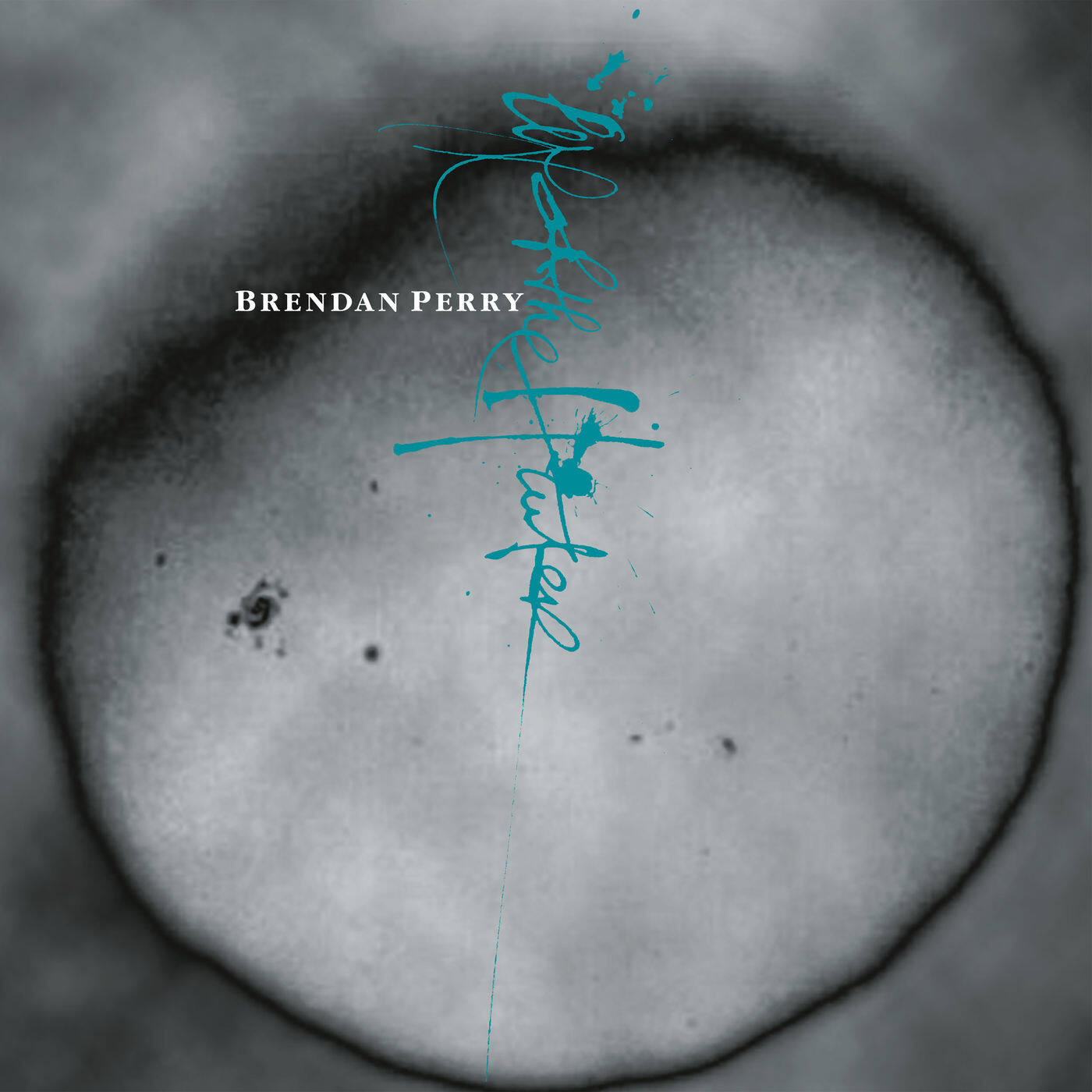 Brendan Perry《Medusa》GTP谱