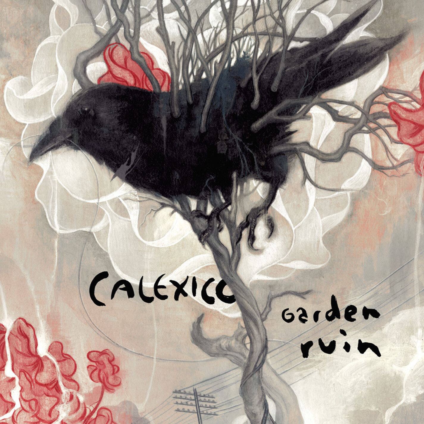 Calexico《Cruel》GTP谱