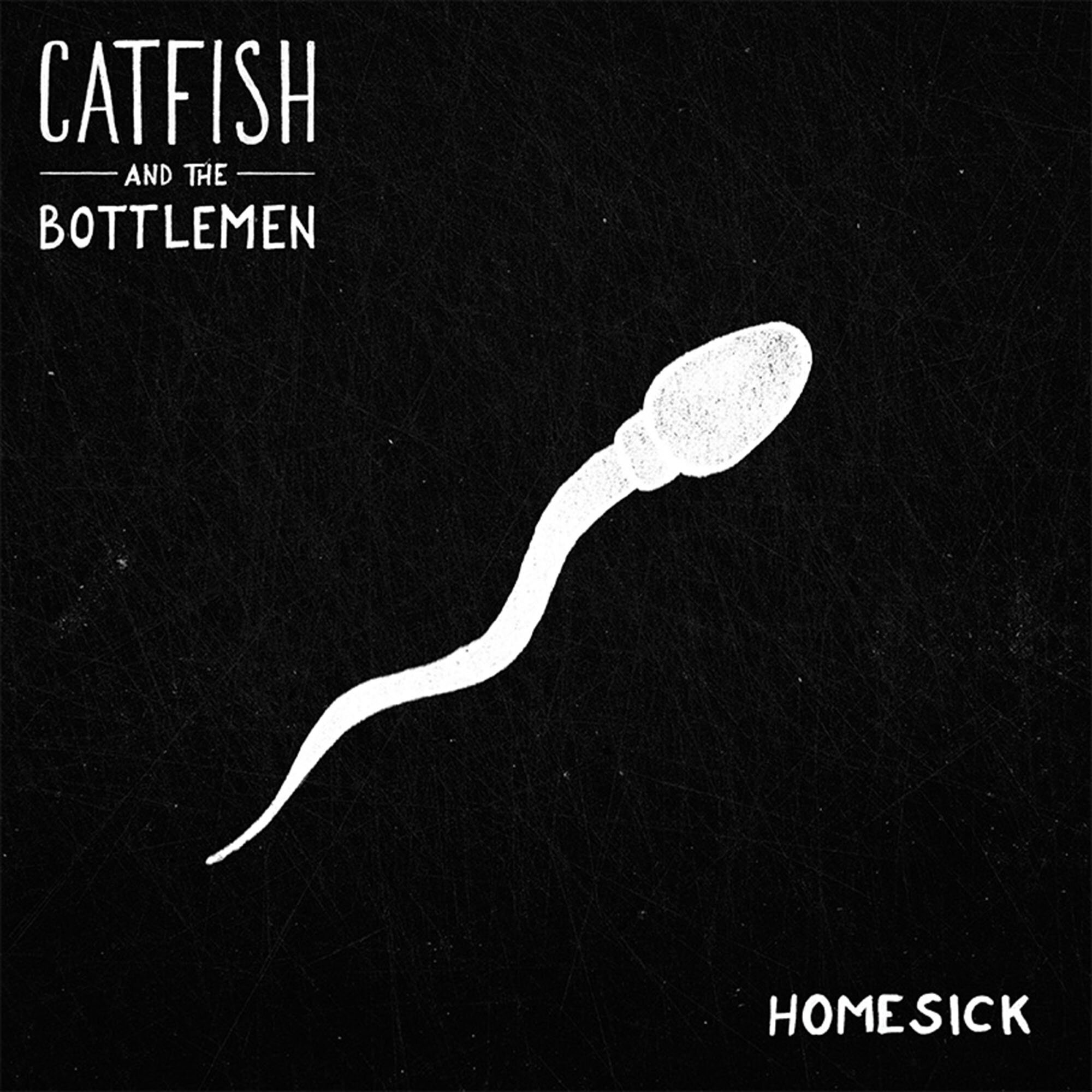 Catfish and the Bottlemen《Homesick》GTP谱