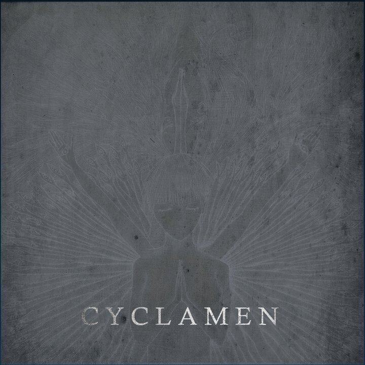 Cyclamen《Comfort》GTP谱