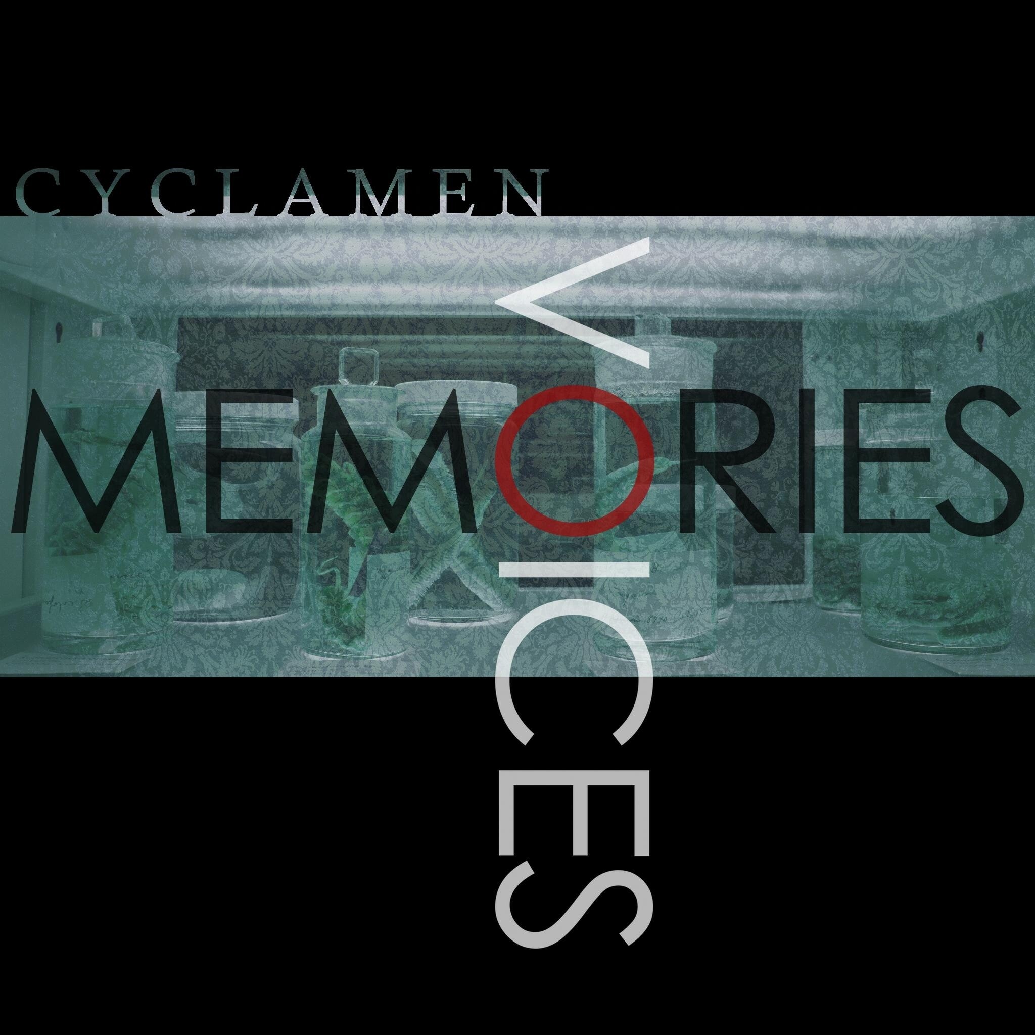 Cyclamen《Memories》GTP谱