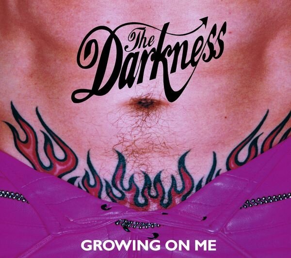 Darkness《How Dare You Call This Love》GTP谱