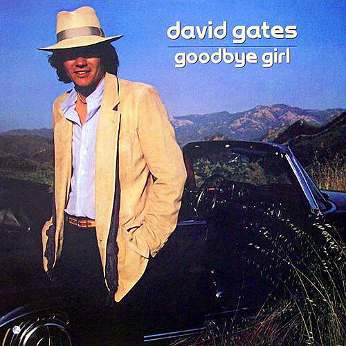 David Gates《Goodbye Girl》GTP谱