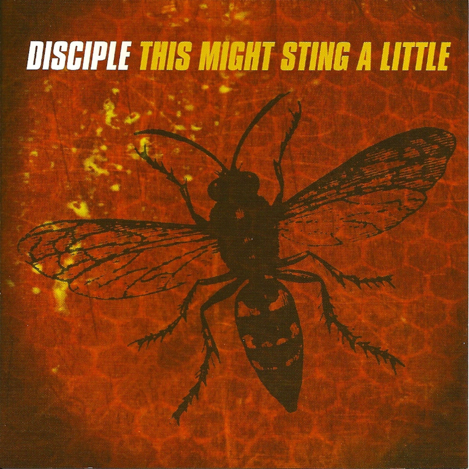 Disciple《I Just Know》GTP谱