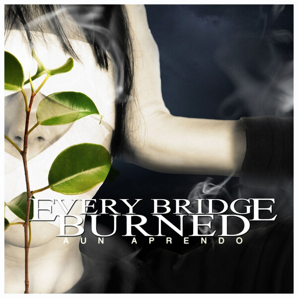 Every Bridge Burned《Youre A Damn Lion》GTP谱