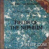 Fields of the Nephilim《Moonchild》GTP谱