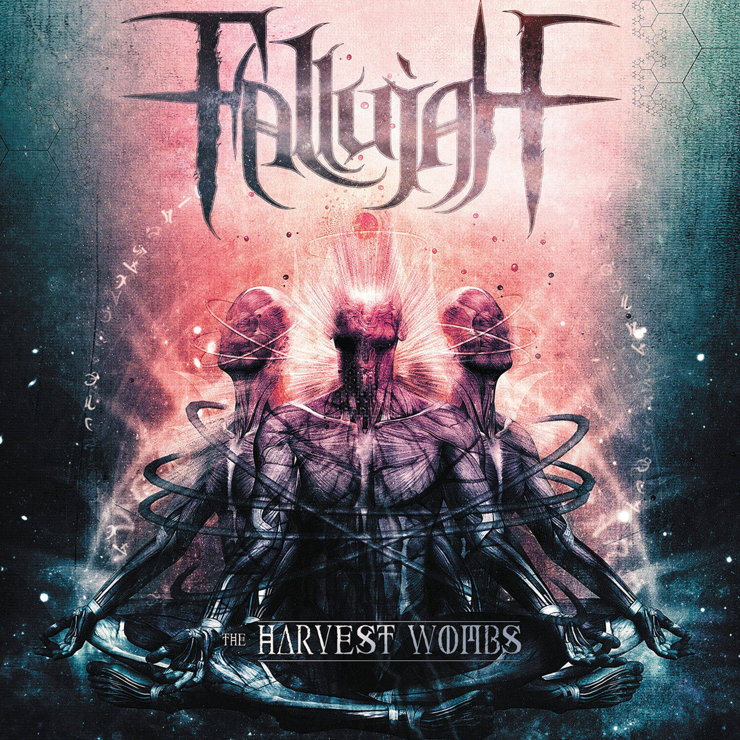 Fallujah《Hallucination》GTP谱