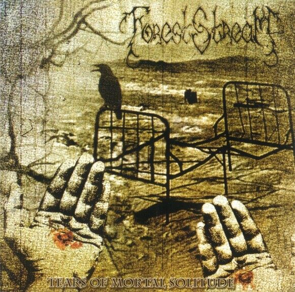 Forest Stream《Snowfall》GTP谱