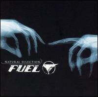 Fuel《Falls On Me》GTP谱