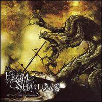 From the Shallows《Beyond The Unknown》GTP谱
