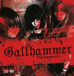 Gallhammer《Beyond The Hate Red》GTP谱