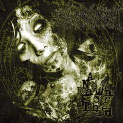 The Rotted《And Everything Went Black》GTP谱