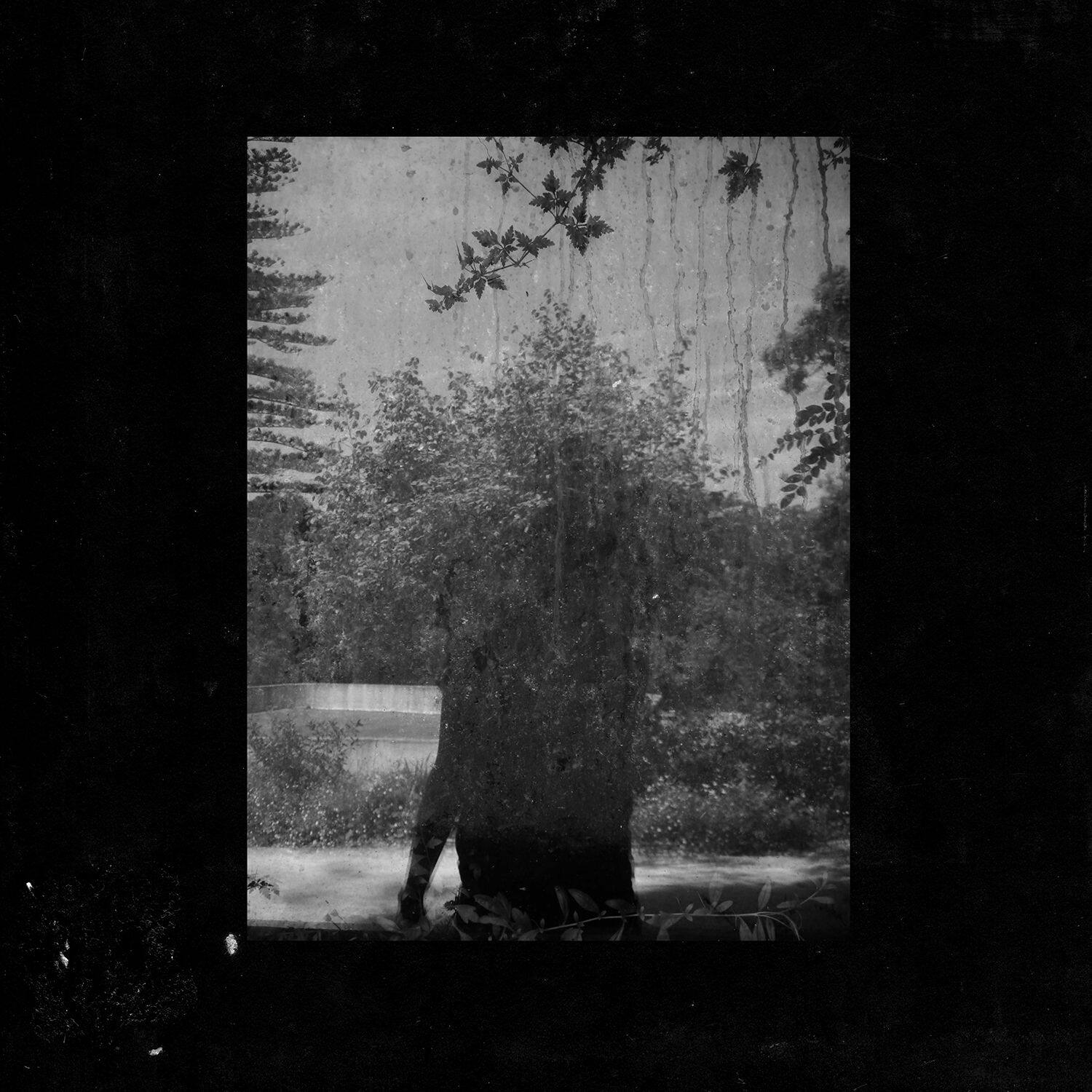 Grouper《Clearing》GTP谱