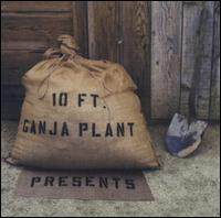 10 Ft. Ganja Plant《Chalwa》GTP谱