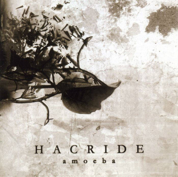 Hacride《Liquid》GTP谱