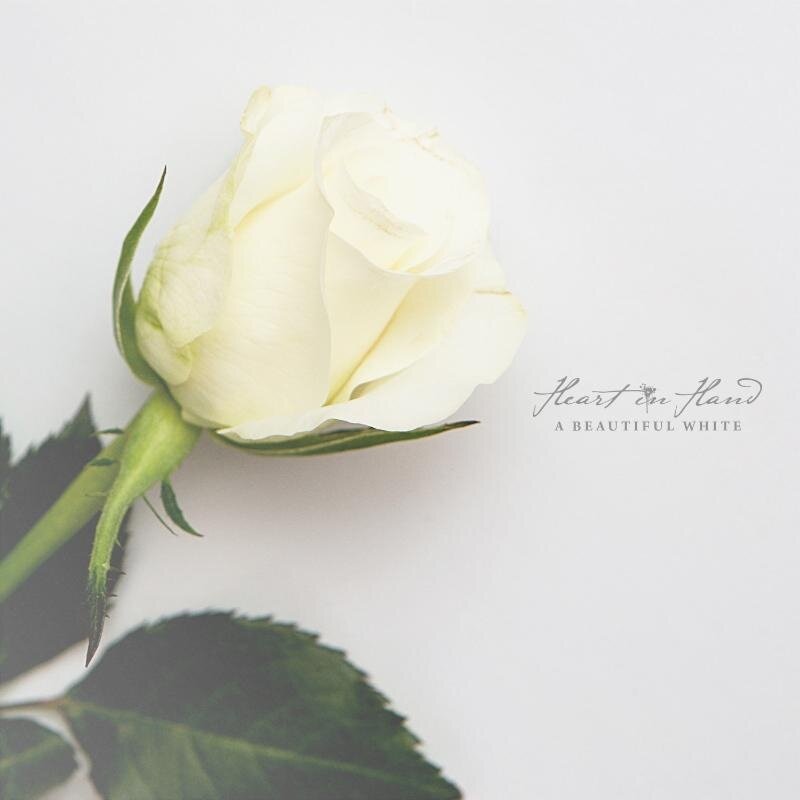 Heart In Hand《A Beautiful White》GTP谱
