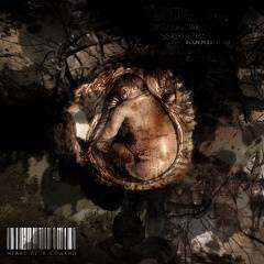 Heart Of A Coward《Distance》GTP谱